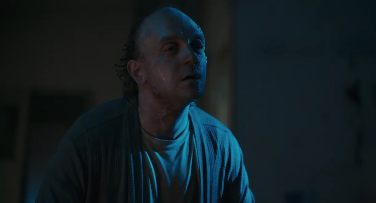 FESTER