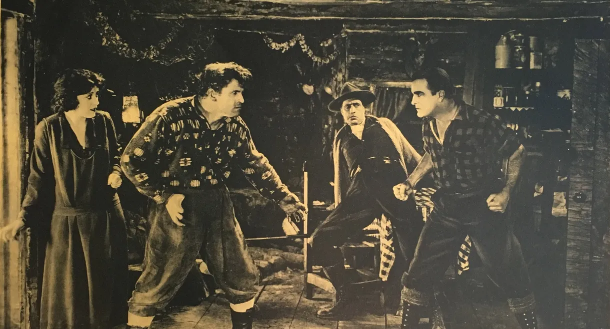 Shadows of the North