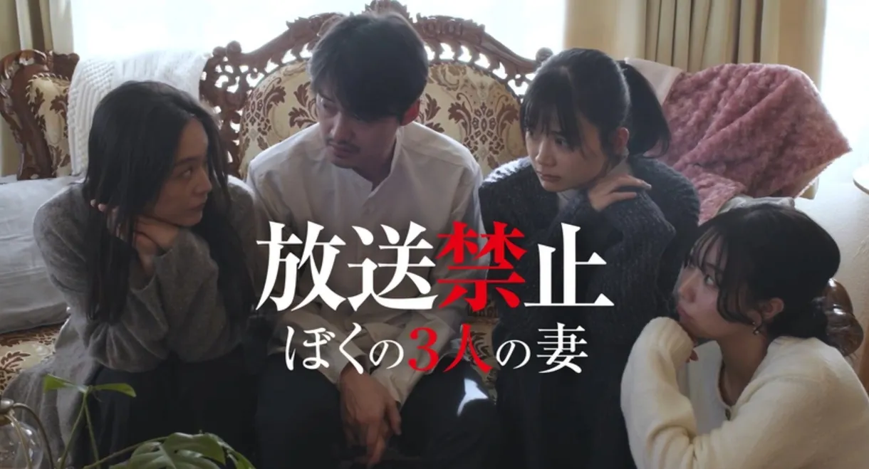 Banned from Broadcast: My Three Wives