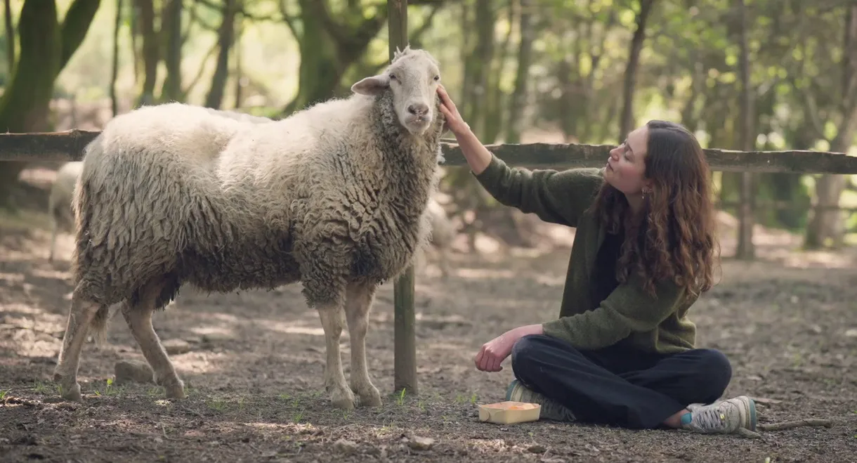 Carne: The Unsustainable Footprint