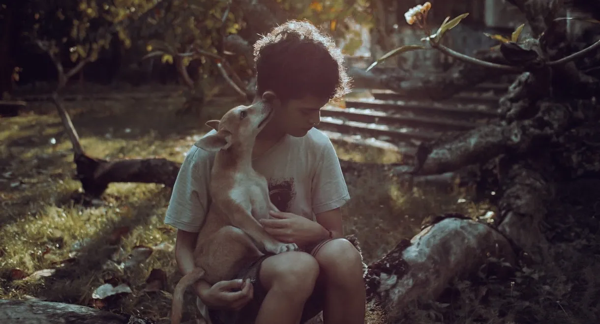 The Gospel of the Beast