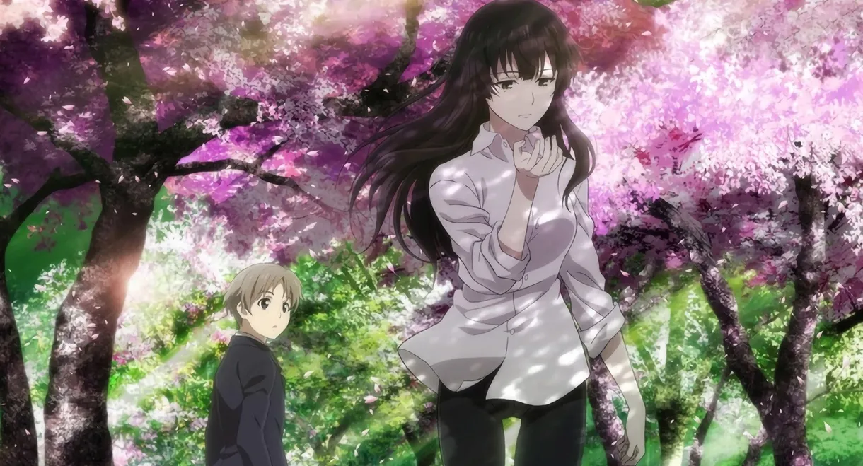 Beautiful Bones: Sakurako's Investigation