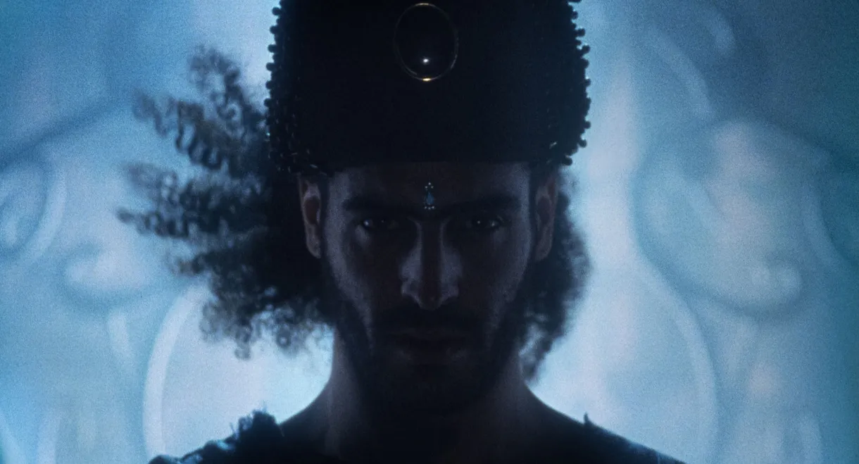 Stallion and a Crystal Ball