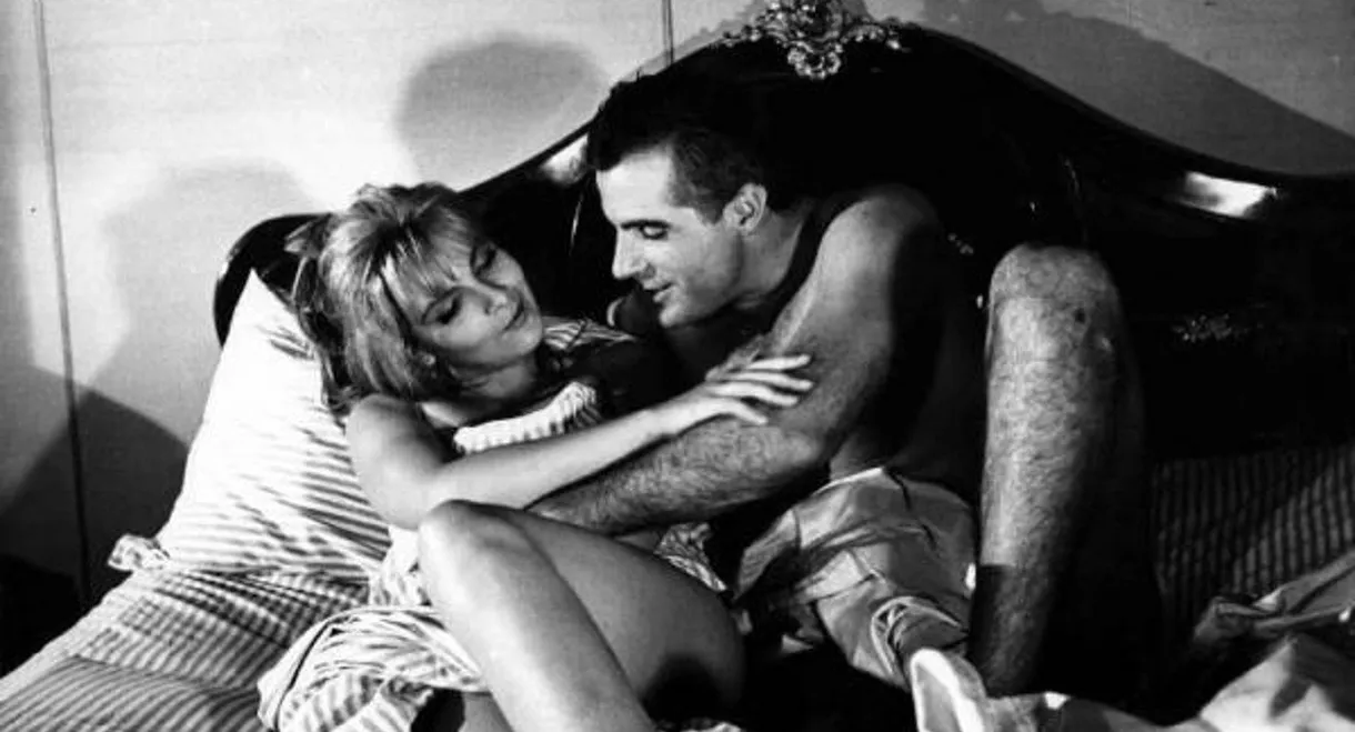 Bianco, rosso, giallo, rosa