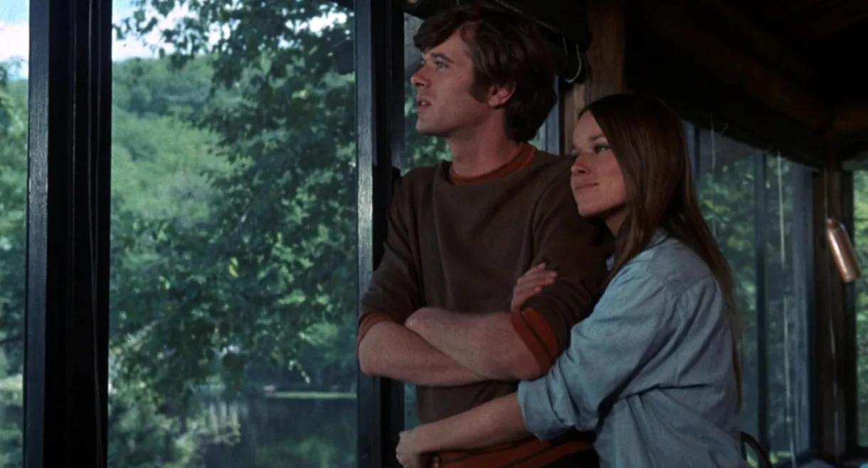 The Pursuit of Happiness