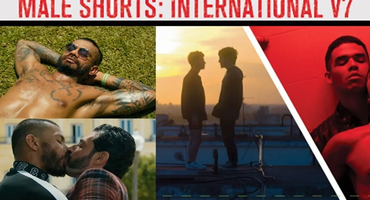 Male Shorts: International V7