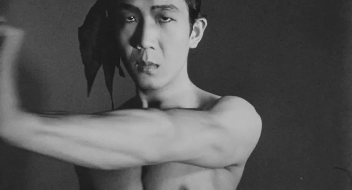 Meditation on Violence