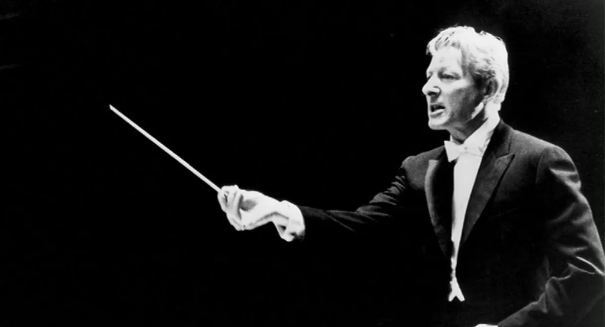 A Portrait of Danny Kaye