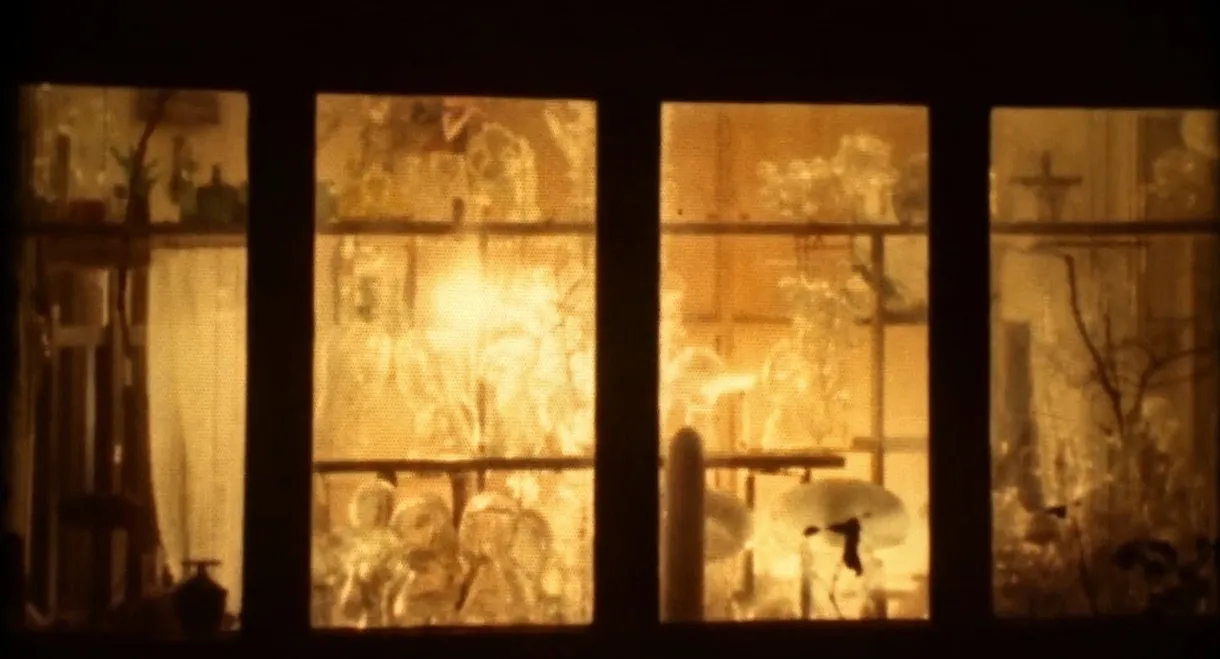 The Art of Fire