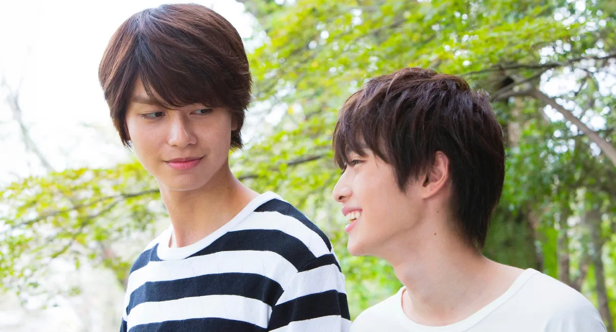 Silhouette of Your Voice