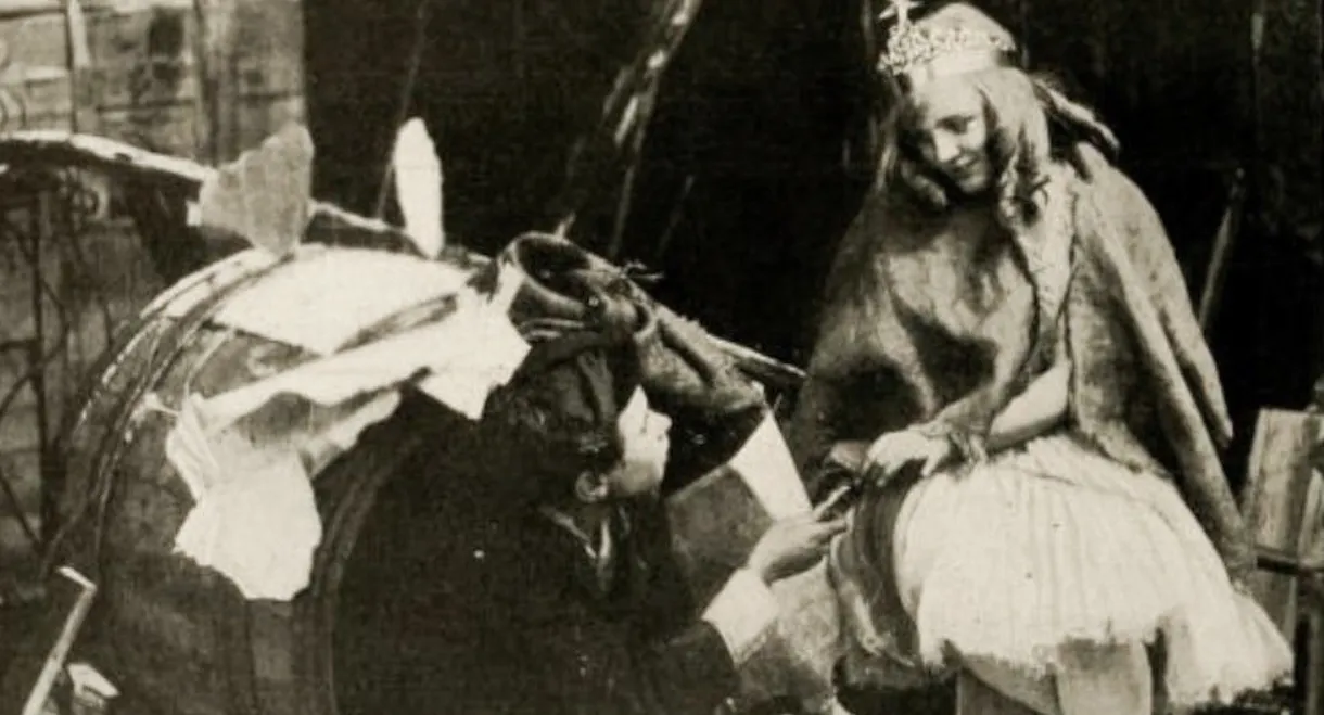 The Fairy and the Waif