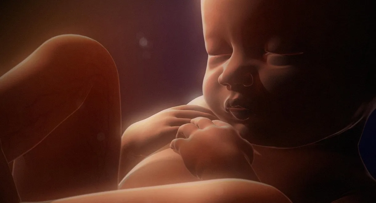 In the Womb: Multiples