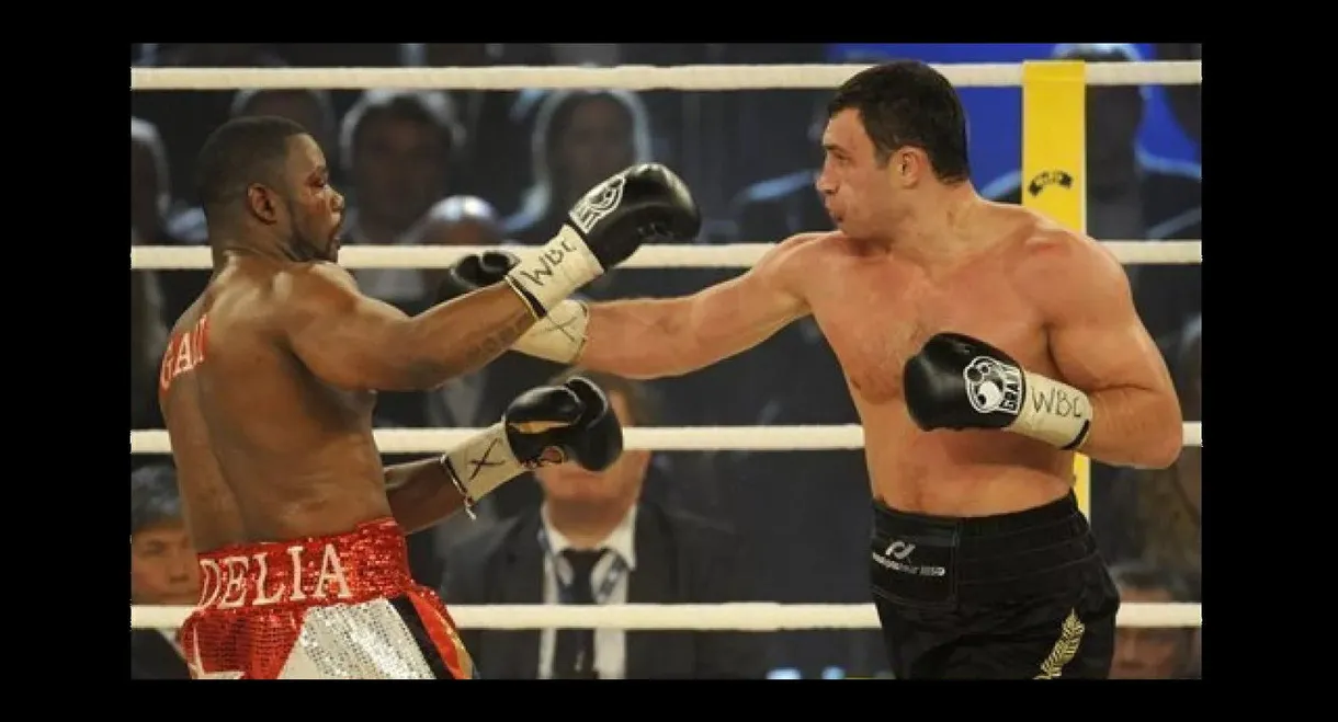 Vitali Klitschko vs. Juan Carlos Gomez