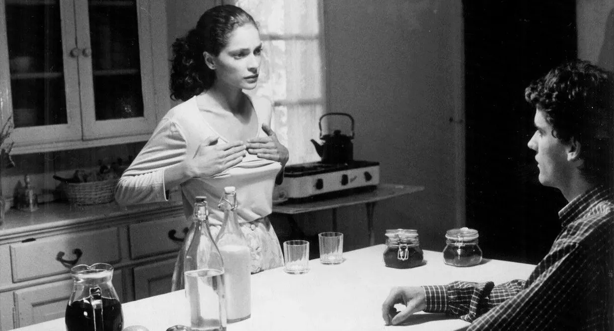 The Butterfly's Dream