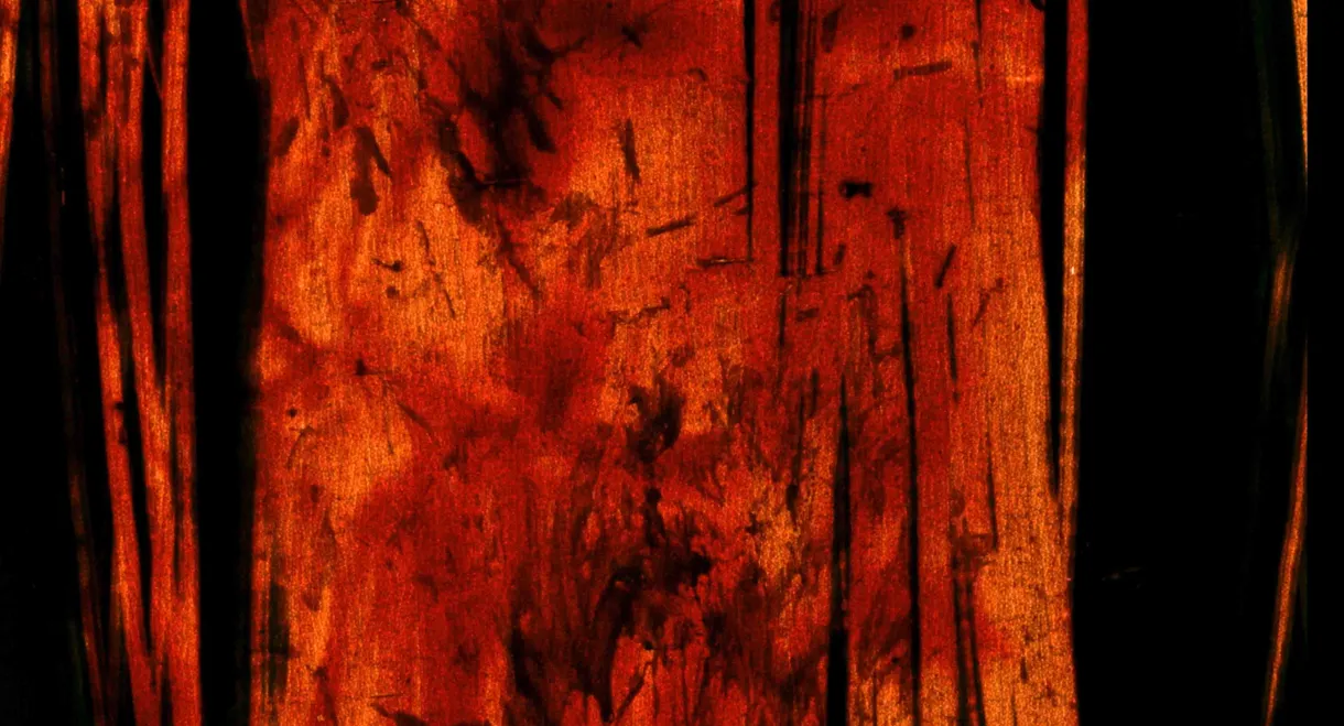 House of Death