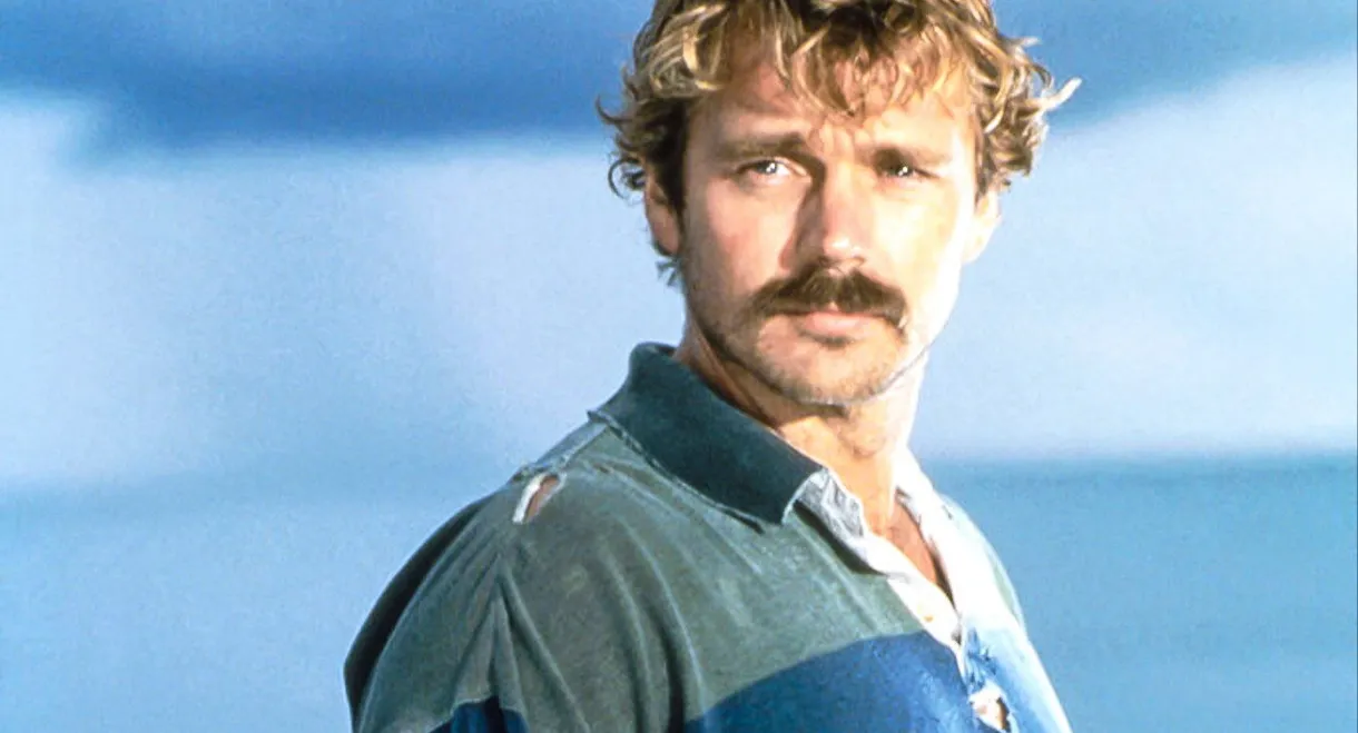 Desperate Journey: The Allison Wilcox Story