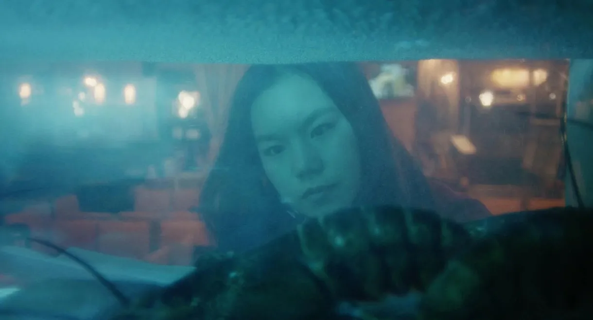 Sorry for the Inconvenience