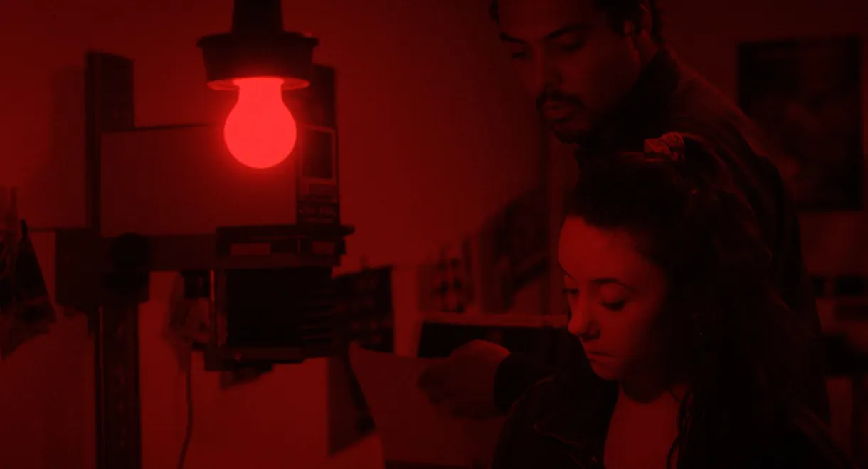 Le jour où un zèbre devint tigre