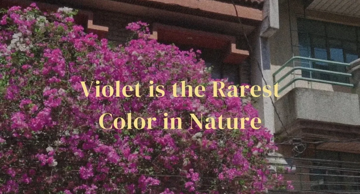 Violet is the rarest color in nature