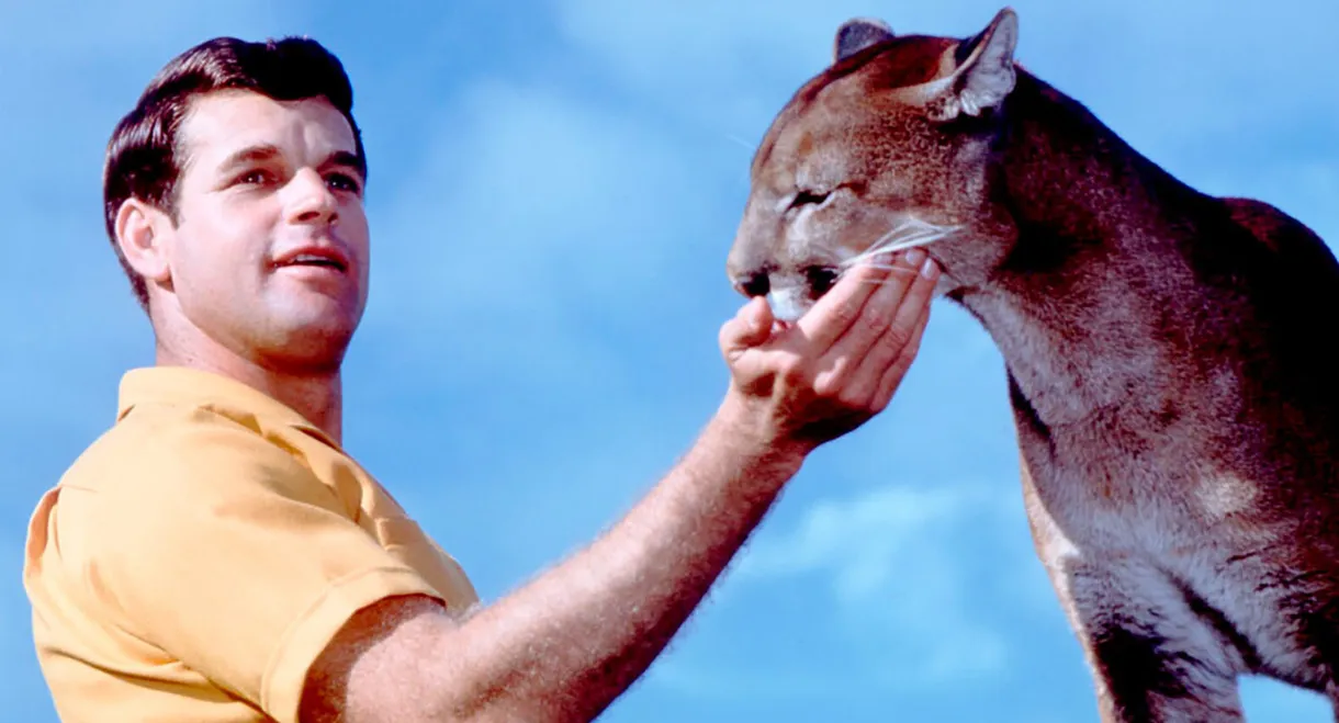 Charlie, the Lonesome Cougar