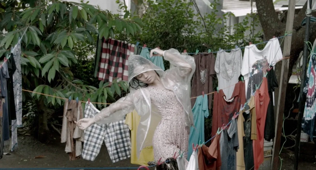 Dry Season in My House