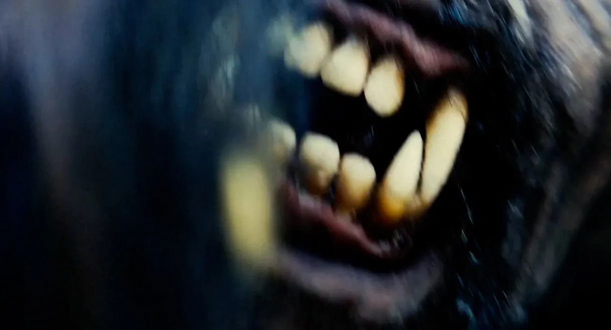 Tahoe Joe 2: The Sierra Nevada Bigfoot Conspiracy