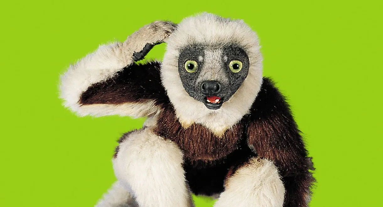 Zoboomafoo