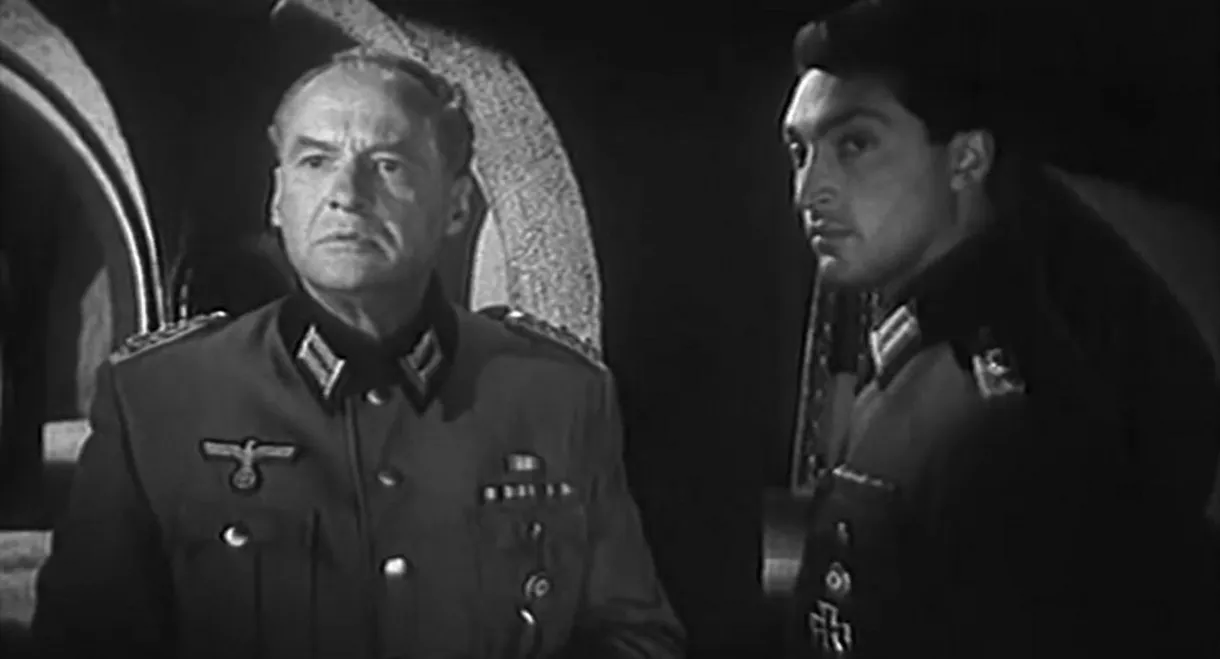 Far from the Motherland