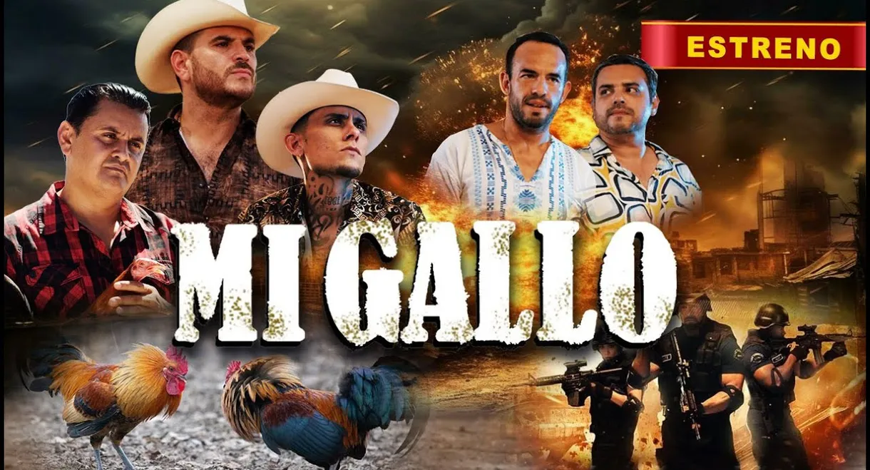 Mi Gallo