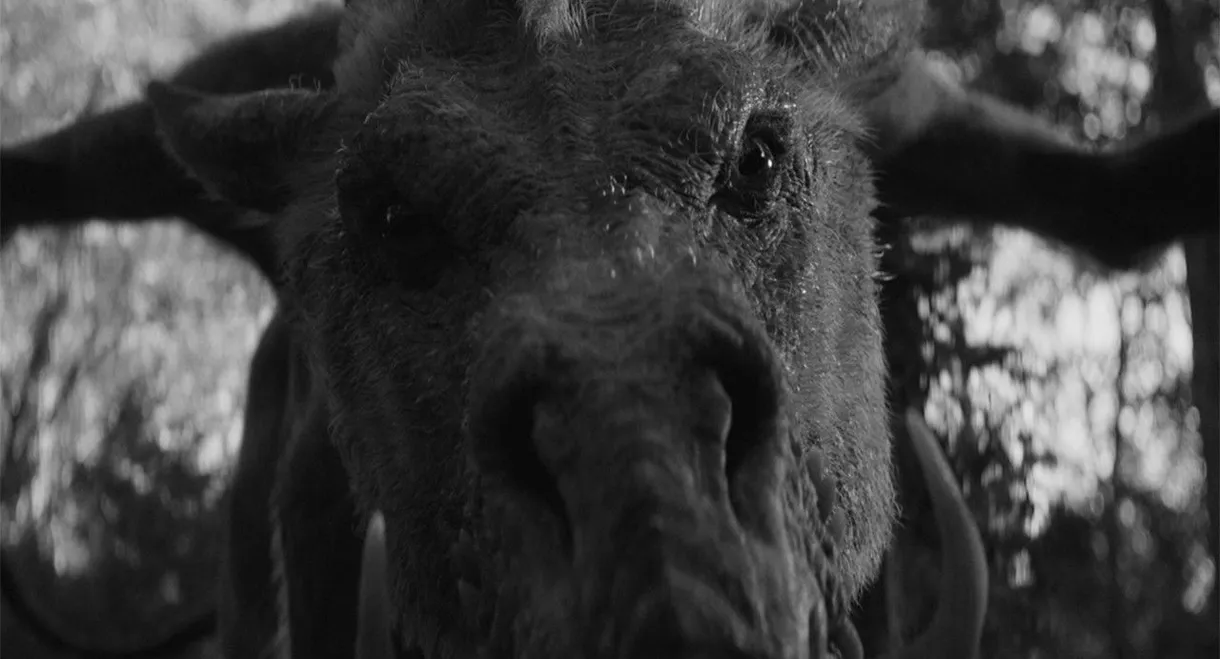 Em & Selma Go Griffin Hunting