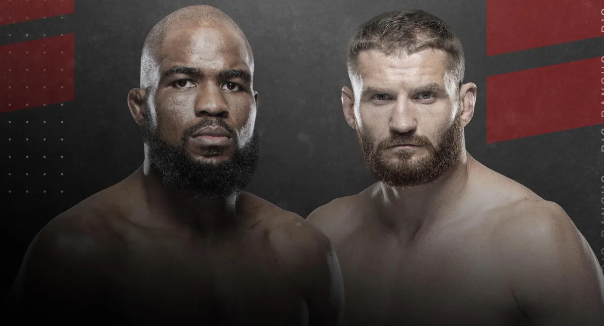 UFC Fight Night 167: Anderson vs. Błachowicz 2