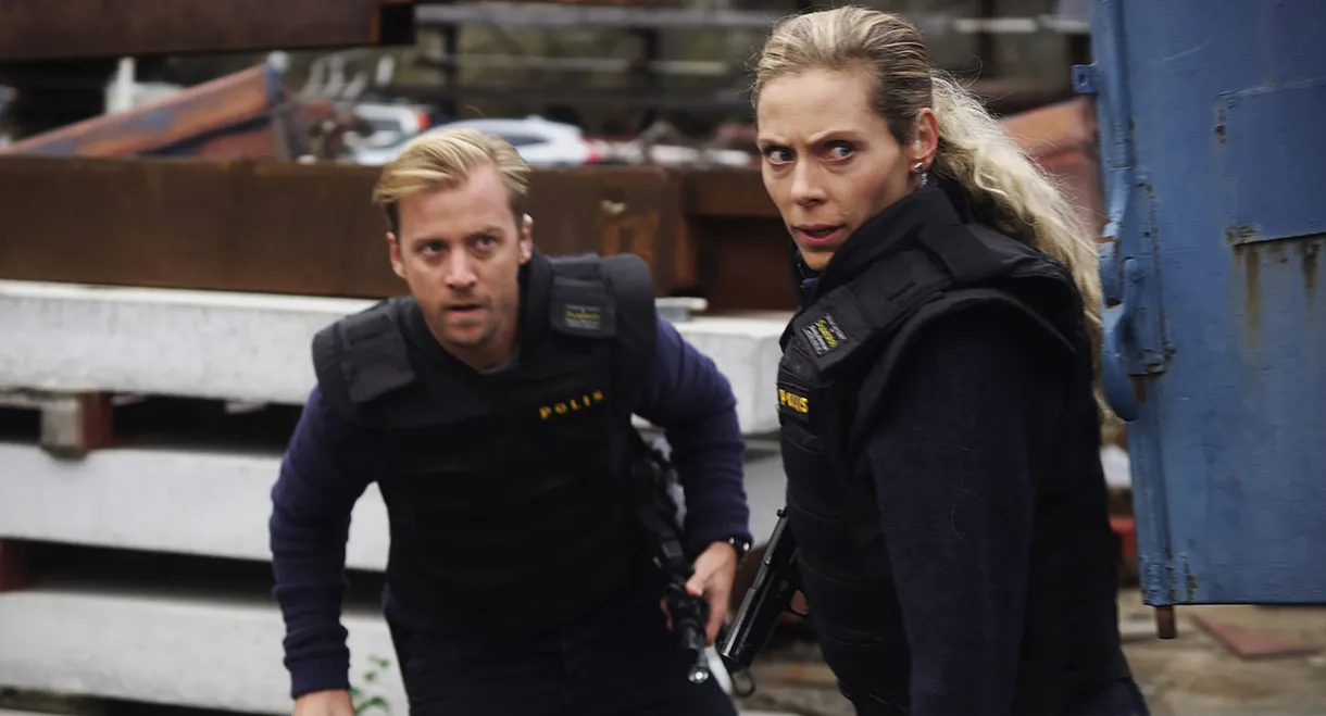 Drömmen förde dig vilse