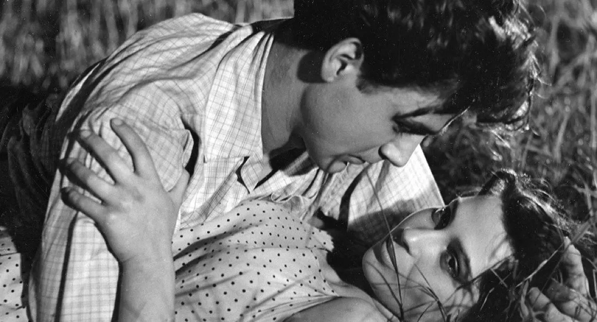 Life Flows Quietly By...