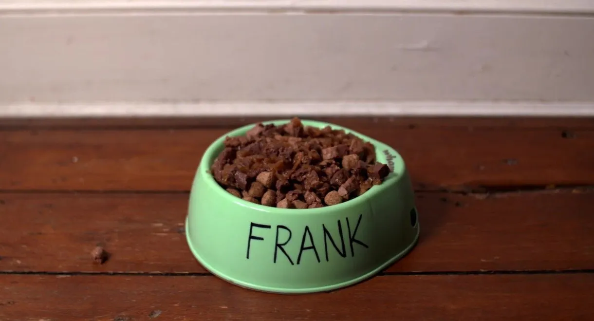 L.T.'s Theory of Pets