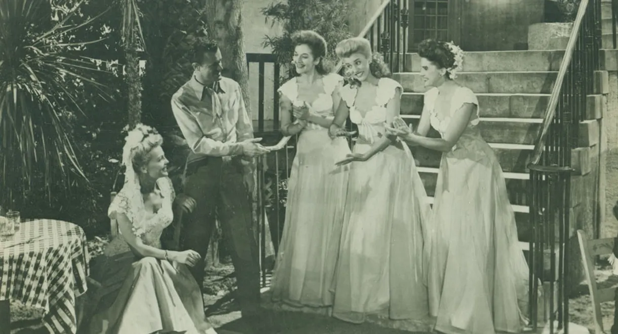 Moonlight and Cactus