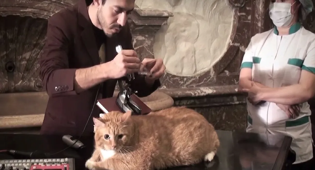 Metacinema appliqué