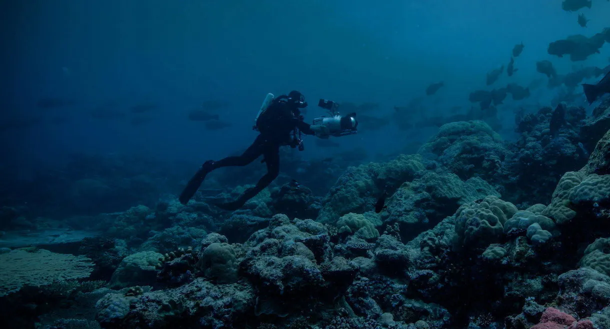 Night on Earth: Shot in the Dark