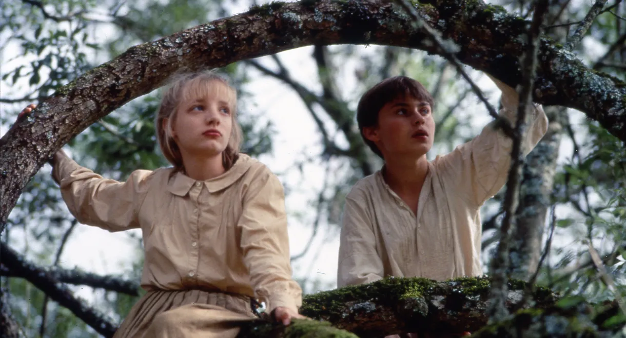 1914 the Glorious Summer