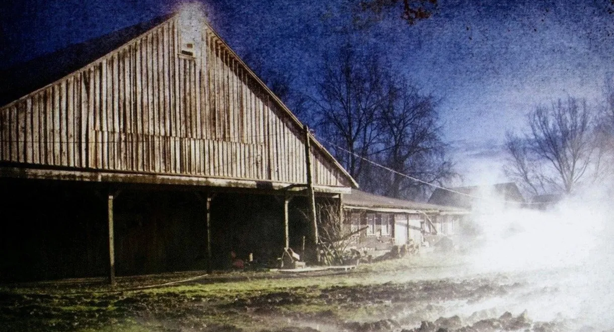 The Pig Farm