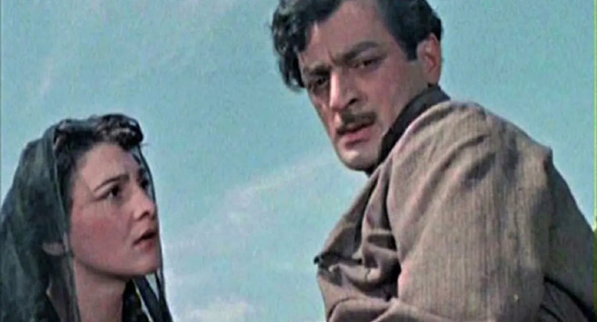 They Came from Mountains