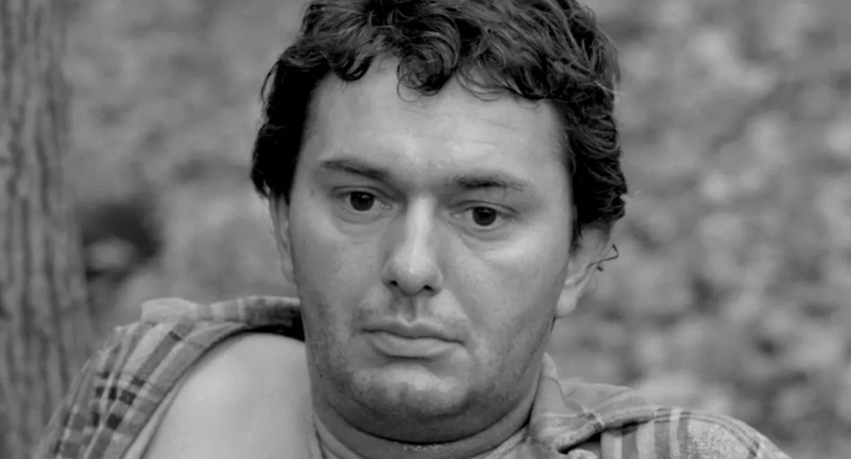 Rope Around the Neck