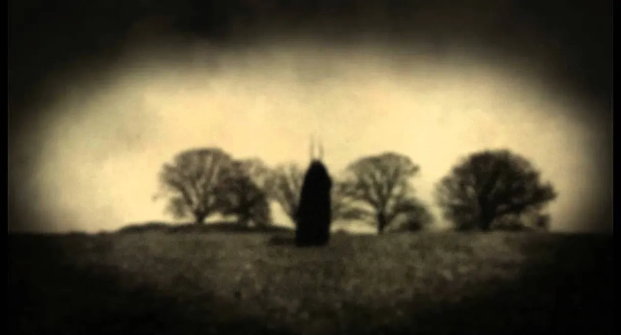 Steven Wilson: Grace for Drowning