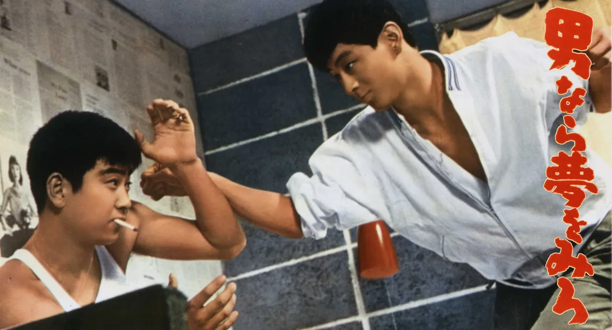 Dream Young Man's Dream