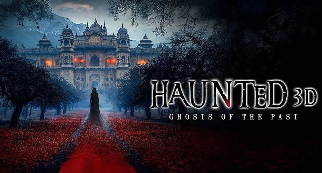 Haunted 3D: Echoes of the Past
