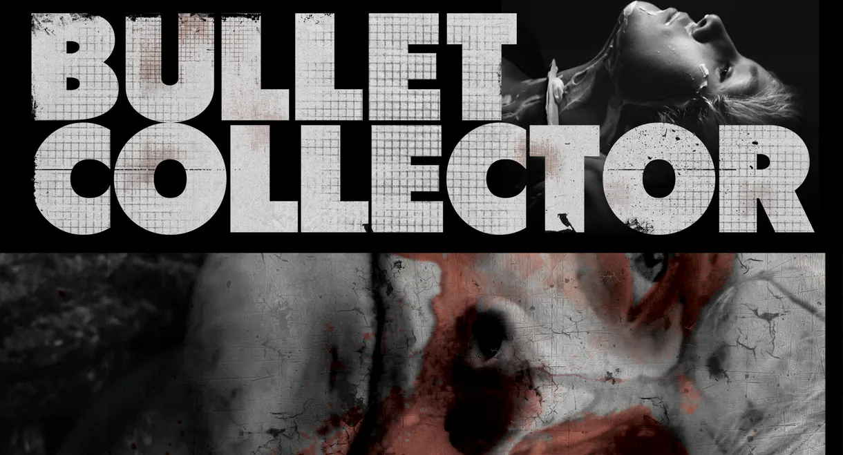 Bullet Collector