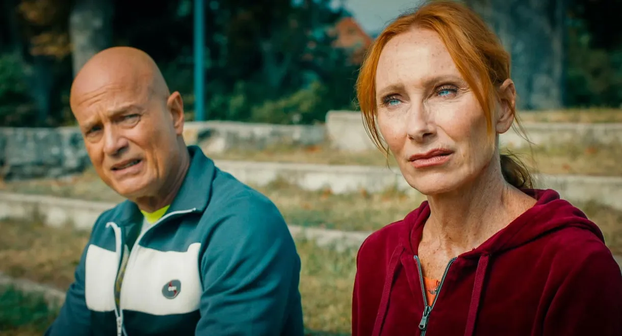 Scheidung für Anfänger