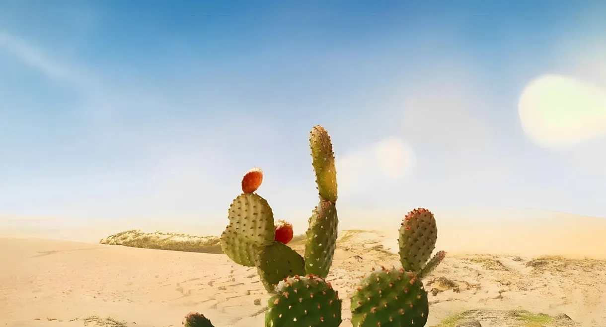 Face Off 8: Embrace of Light