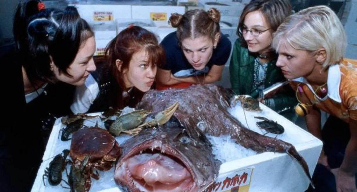 Freundinnen & andere Monster