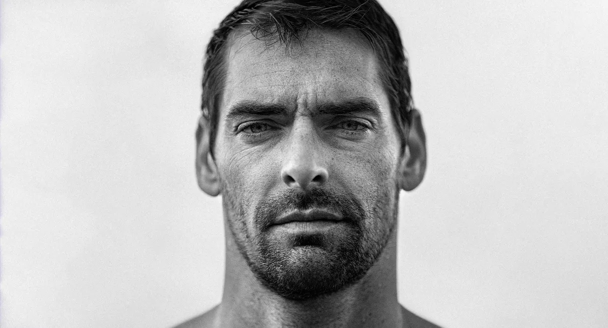 STRoNG, aussi forts que fragiles