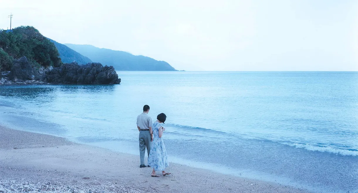 Life and Death on the Shore